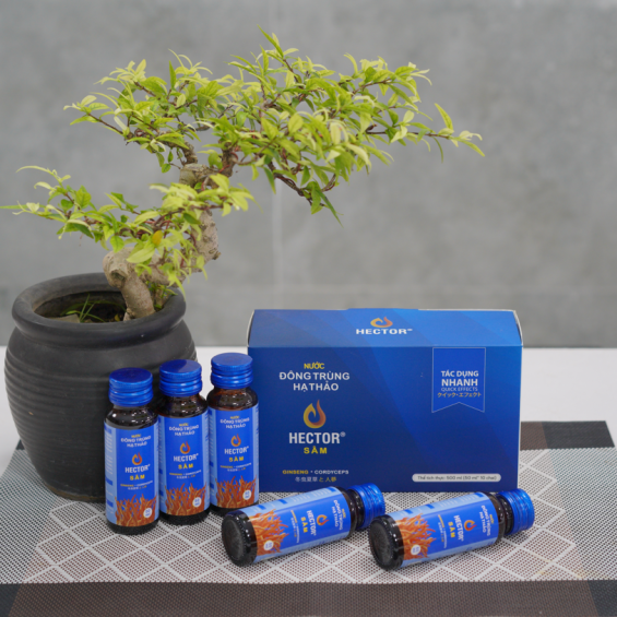 Nước đông trùng hạ thảo hector sâm