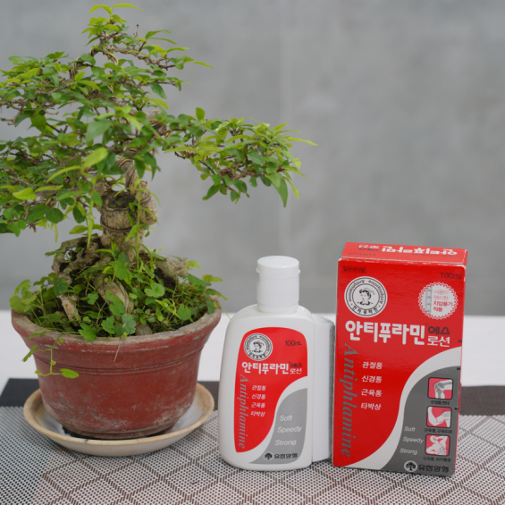 Dầu xoa bóp hàn quốc Antiphlamine 100ml