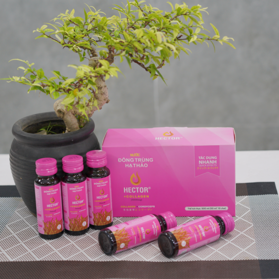 Nước đông trùng hạ thảo hector collagen