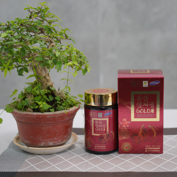 Cao Hồng Sâm Linh Chi Hàn Quốc POCHEON hộp 2 lọ x 240g