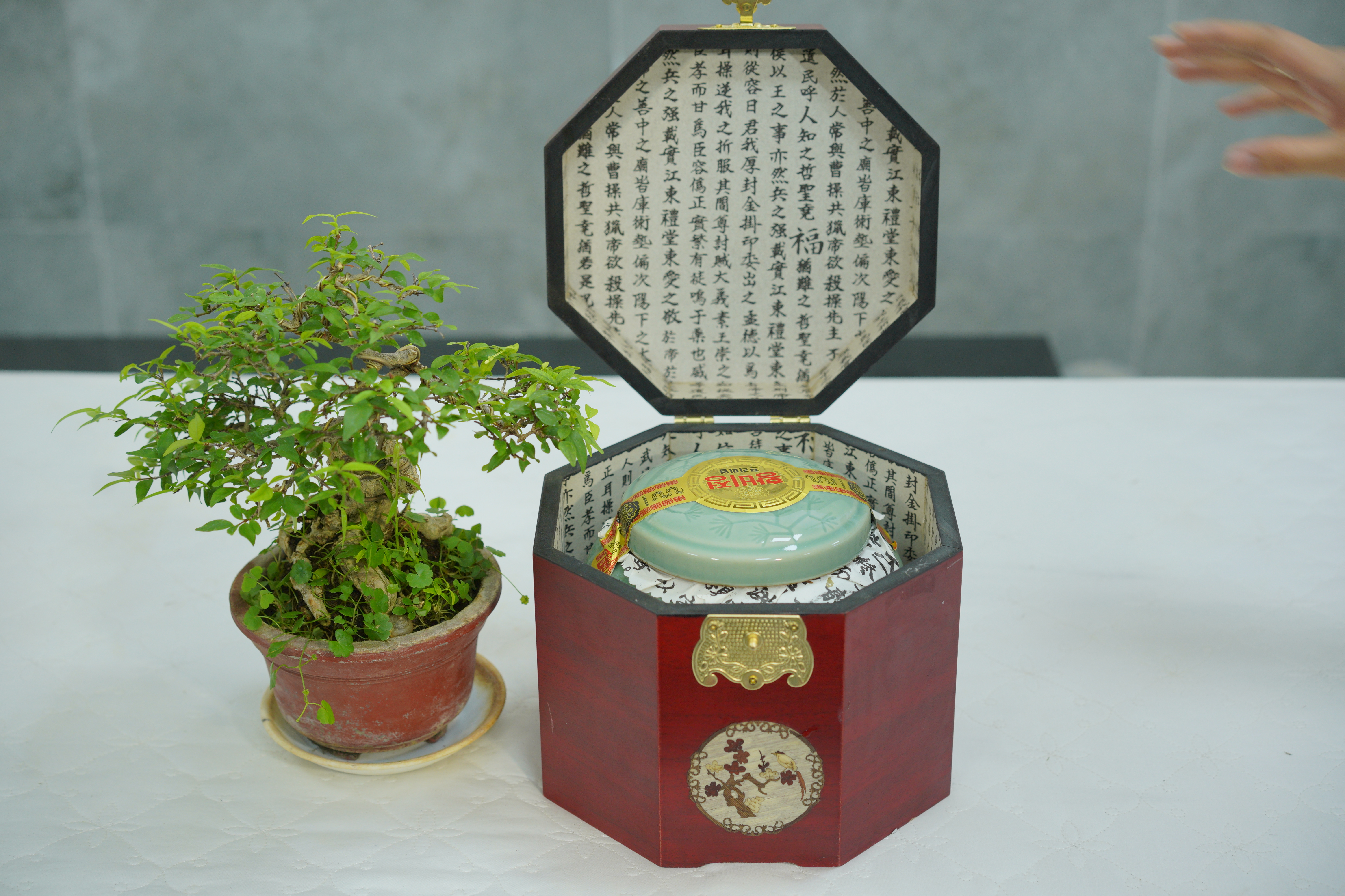 Cao Hồng sâm Hoàng Hậu Hàn Quốc, cao hong sam hoang hau han quoc, Cao Hồng sâm Hàn Quốc, cao hong sam han quoc