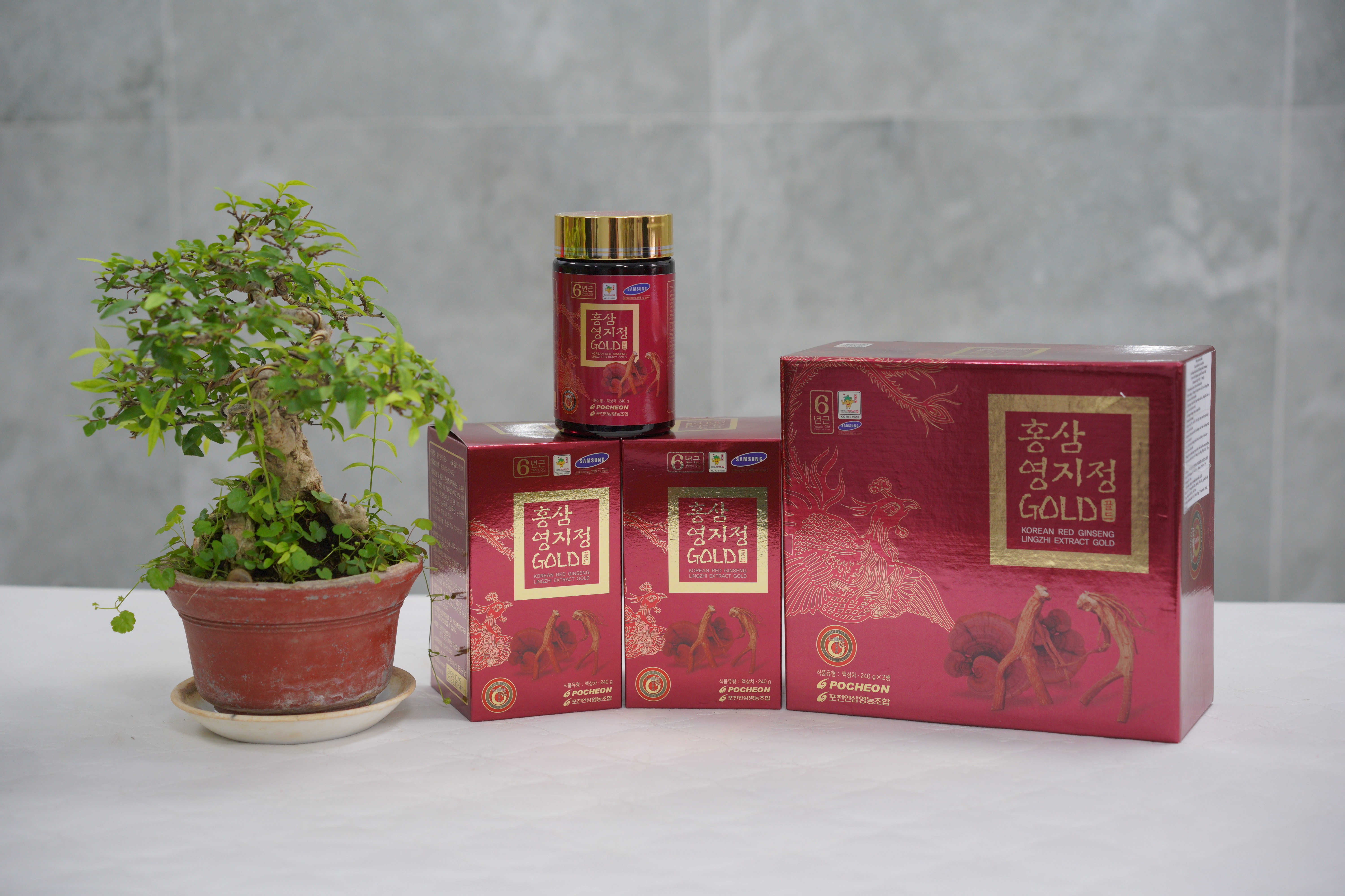 Cao Hồng sâm Linh chi Hàn Quốc Pocheon, cao hong sam linh chi han quoc pocheon, Sâm Linh chi Hàn Quốc, sam linh chi han quoc