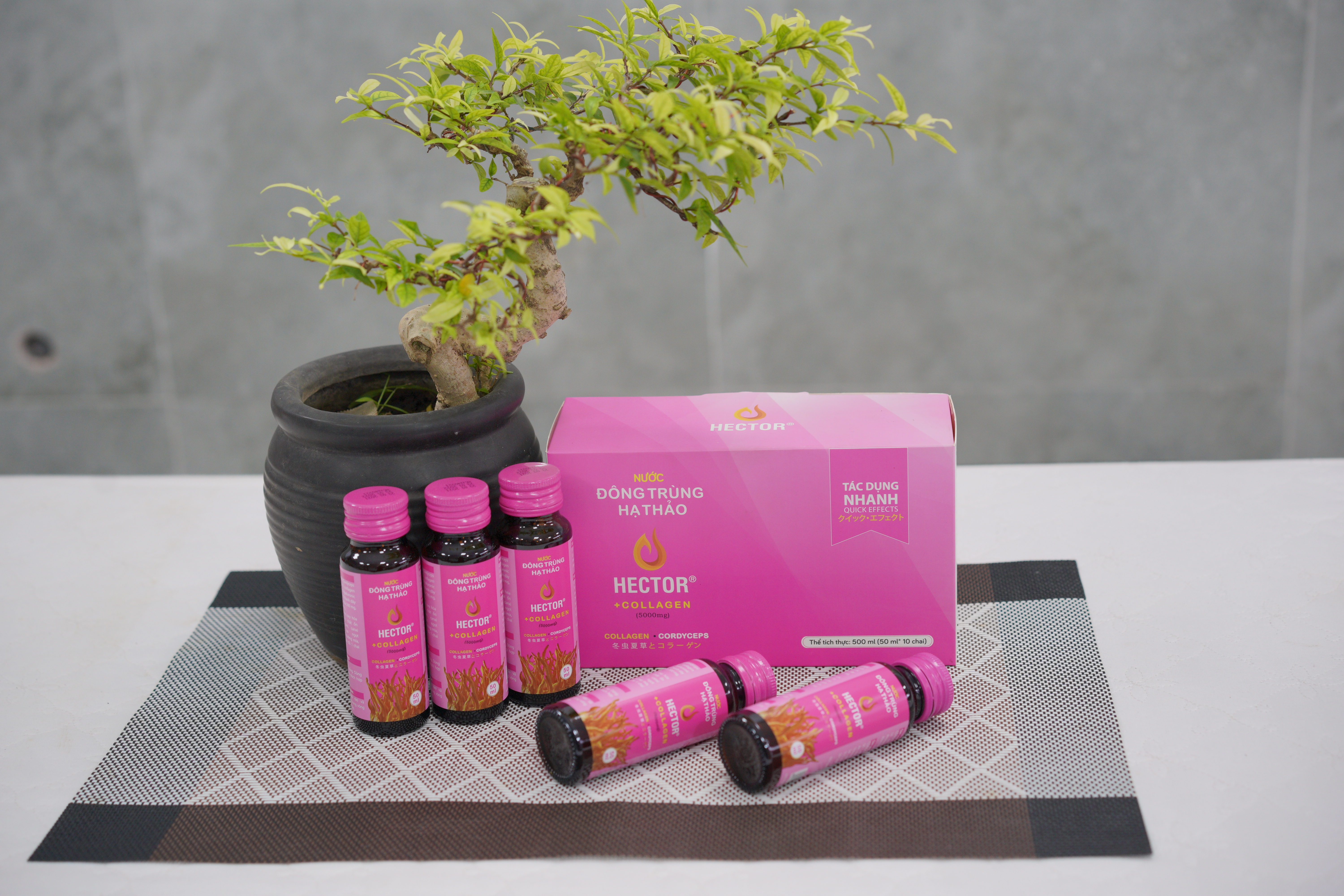 Nước đông trùng hạ thảo Hector collagen, nuoc dong trung ha thao hector collagen, Đông trùng hạ thảo Việt Nam, dong trung ha thao viet nam