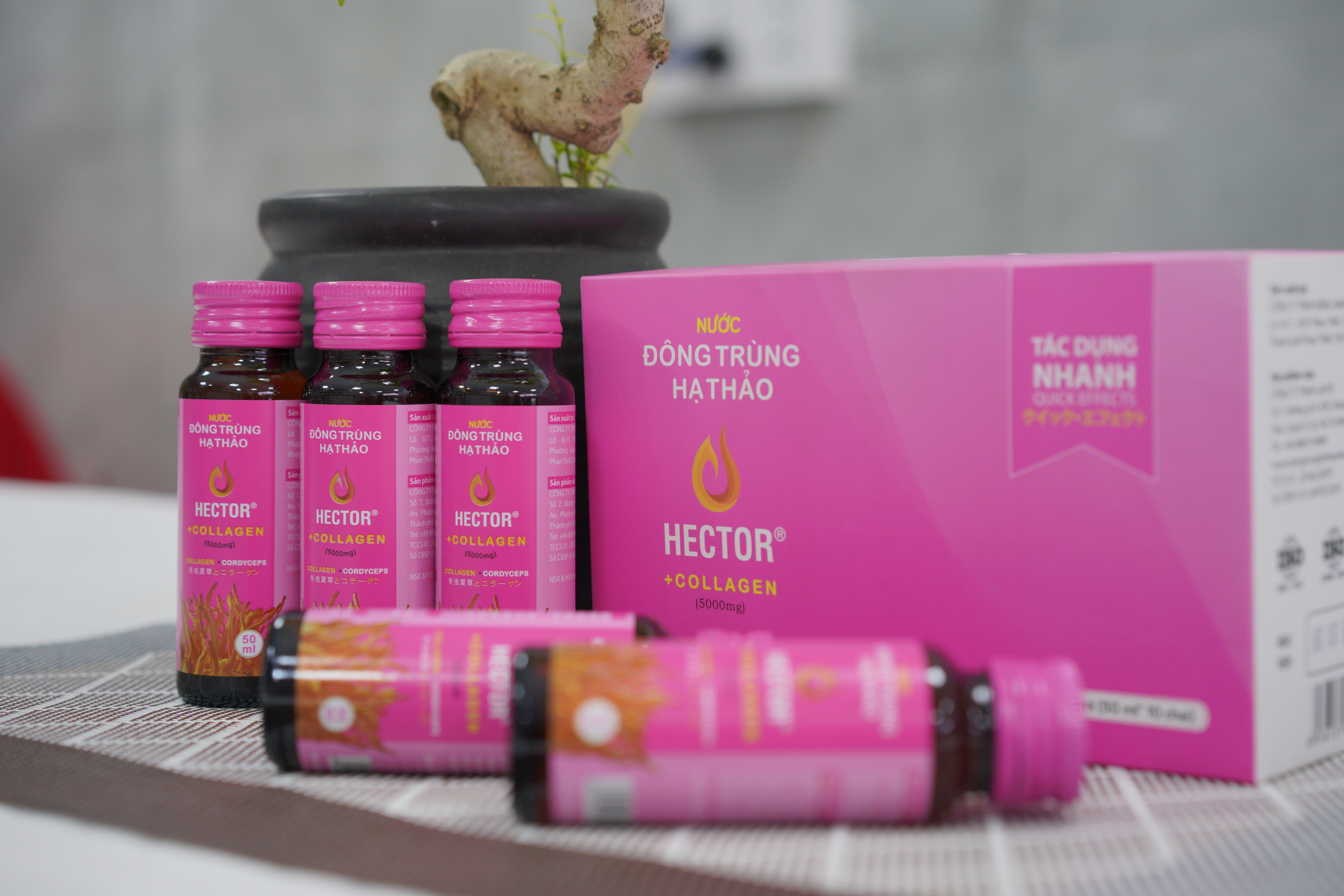 Nước đông trùng hạ thảo Hector collagen, nuoc dong trung ha thao hector collagen, Đông trùng hạ thảo Việt Nam, dong trung ha thao viet nam