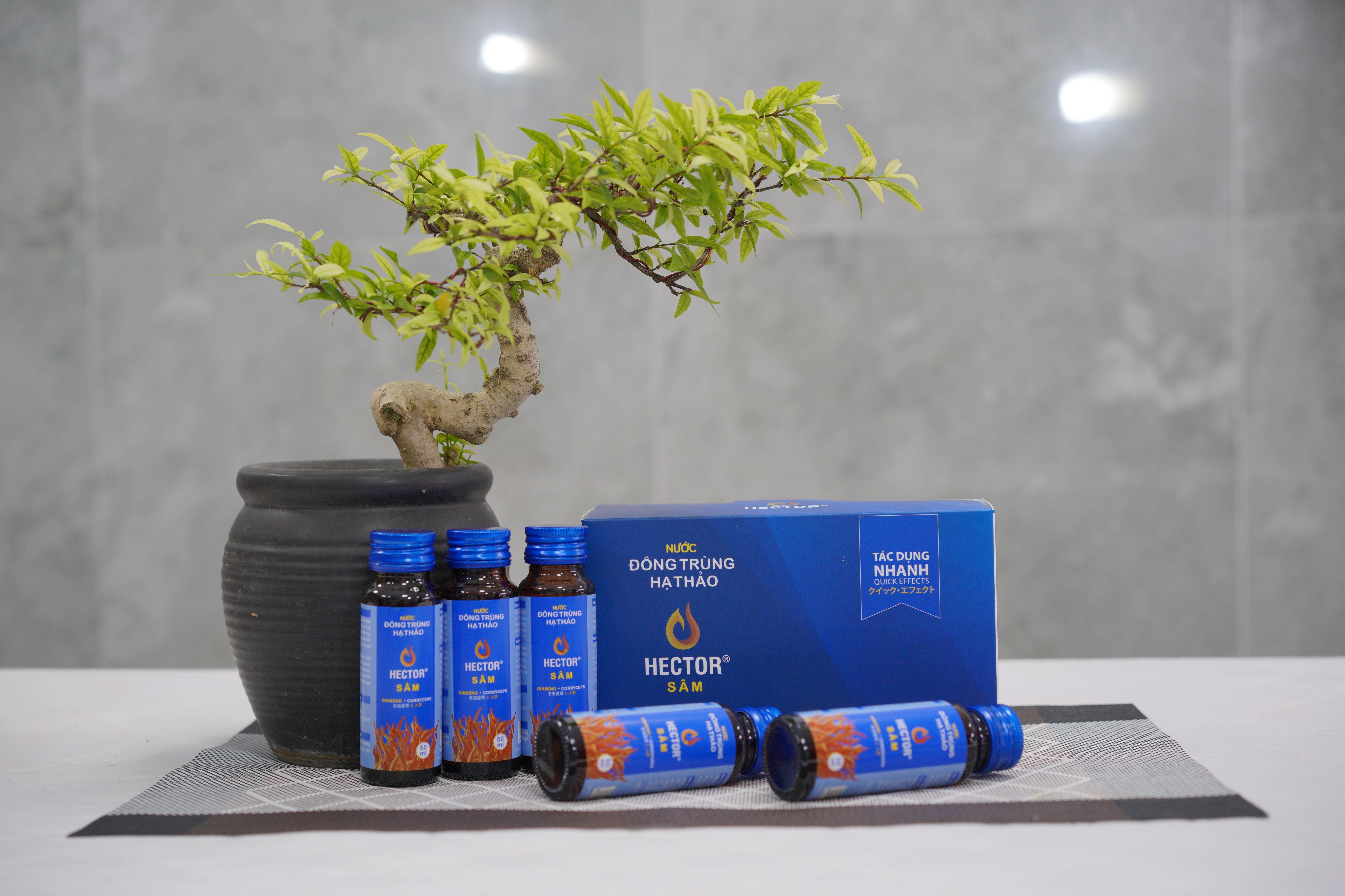 Nước đông trùng hạ thảo Hector sâm, nuoc dong trung ha thao hector sam, Đông trùng hạ thảo là gì, dong trung ha thao la gi