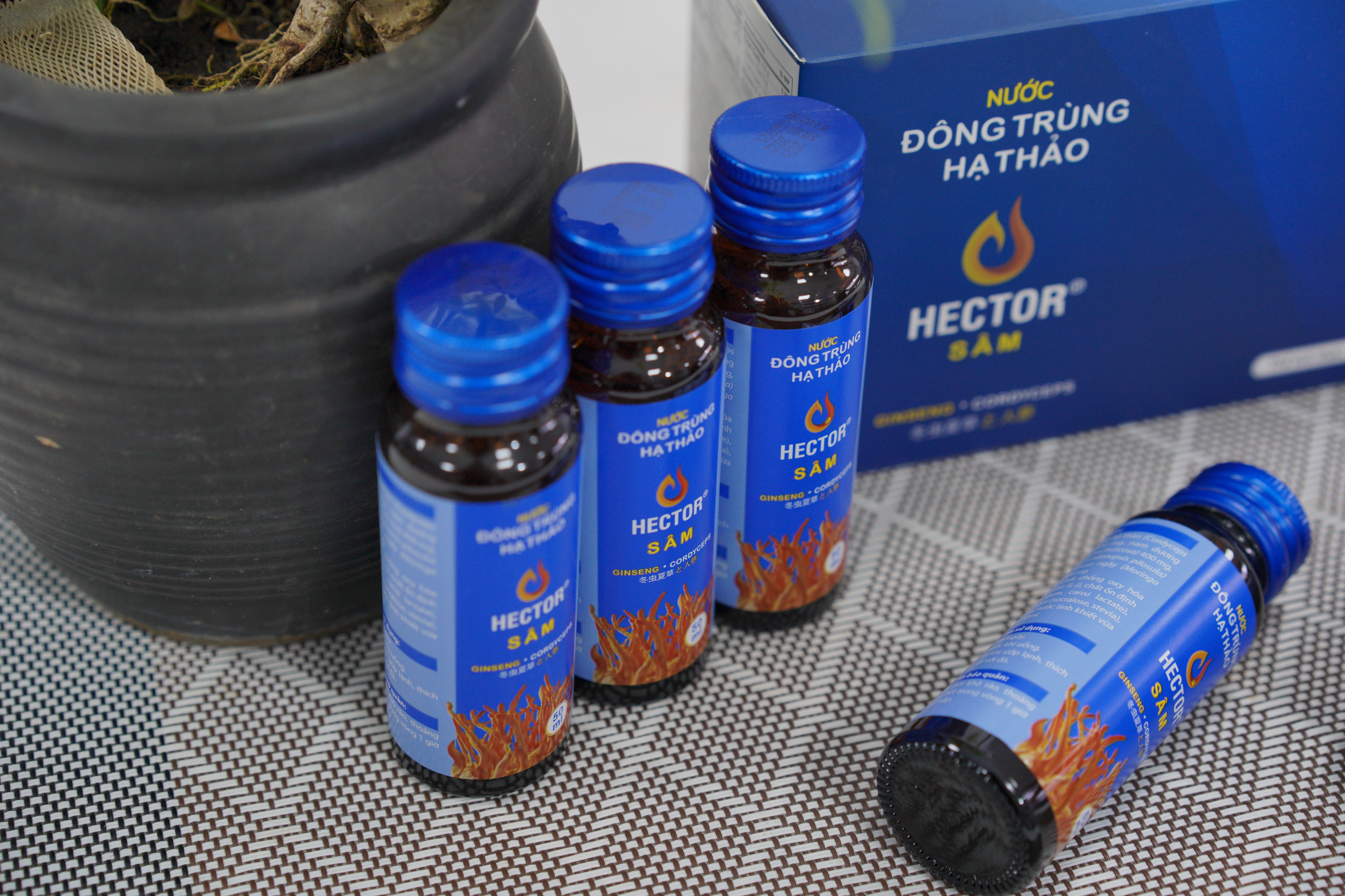 Nước đông trùng hạ thảo Hector sâm, nuoc dong trung ha thao hector sam, Đông trùng hạ thảo là gì, dong trung ha thao la gi