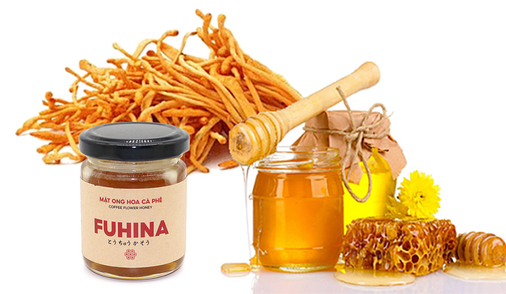 Đông trùng hạ thảo khô FUHINA, dong trung ha thao kho fuhina, tác dụng của đông trùng hạ thảo, tac dung cua dong trung ha thao