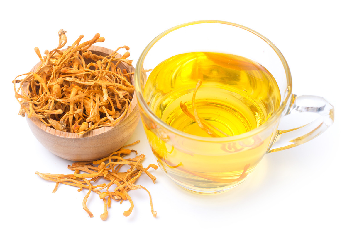 Đông trùng hạ thảo khô FUHINA, dong trung ha thao kho fuhina, tác dụng của đông trùng hạ thảo, tac dung cua dong trung ha thao