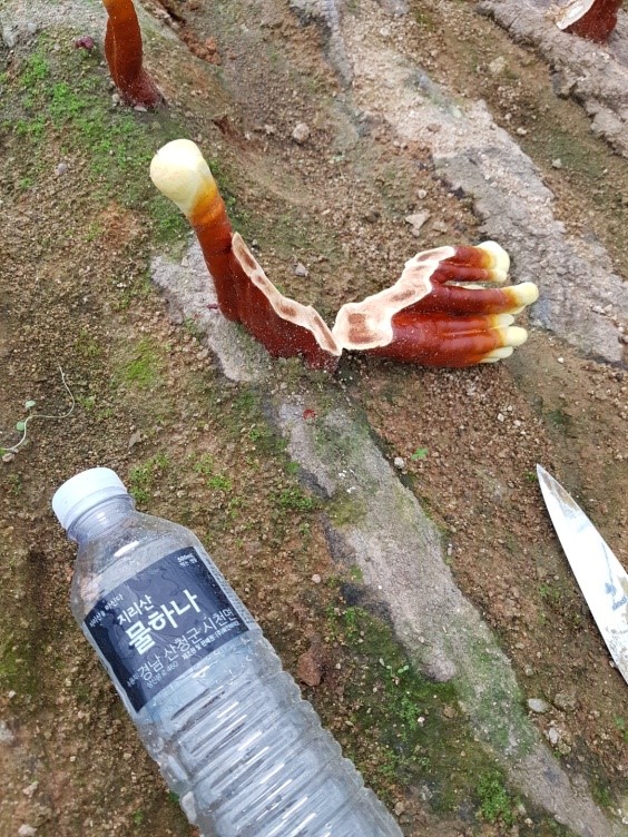 02 Lê Thánh Tông, P.Thắng Lợi, TP. Buôn Ma Thuột, Đắk Lắk