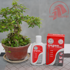 Dầu xoa bóp hàn quốc Antiphlamine 100ml