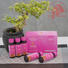 Nước đông trùng hạ thảo hector collagen